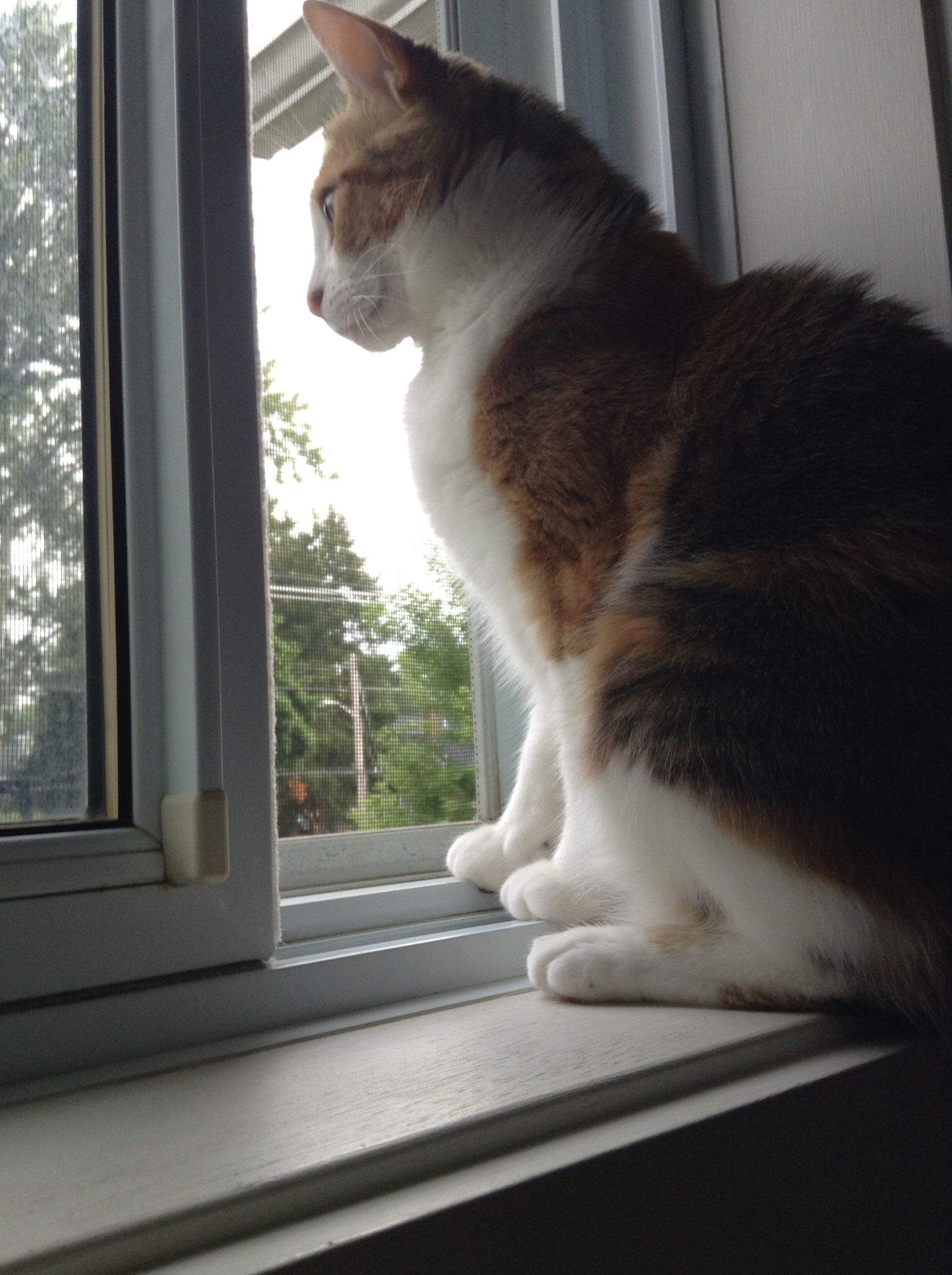 Photo of Jenny